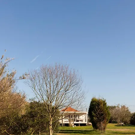 Villa Quinta Da Cris Costa Nova