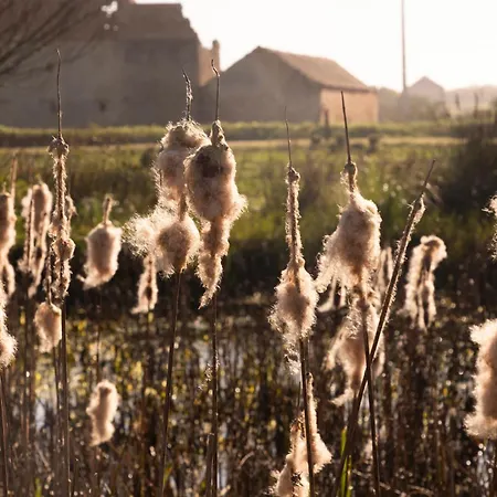 Quinta Da Cris * Costa Nova
