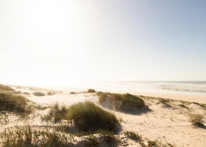 Villa Quinta Da Cris Costa Nova