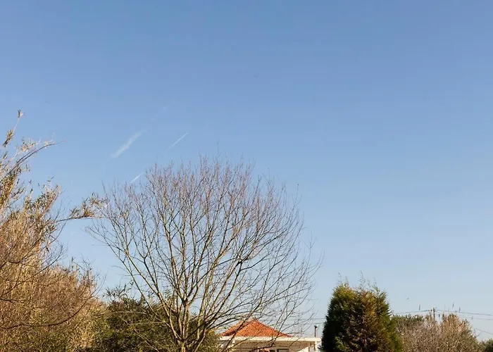 Villa Quinta Da Cris Costa Nova