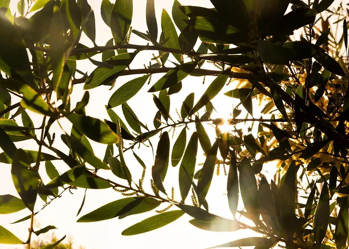 Quinta Da Cris Villa Costa Nova