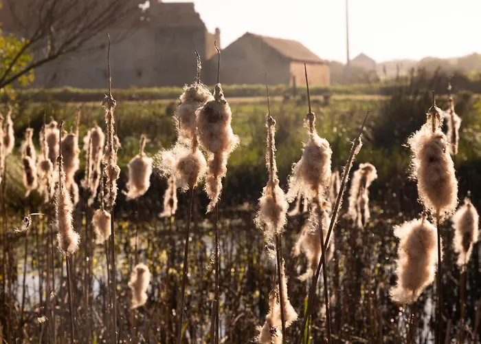 Quinta Da Cris * Costa Nova